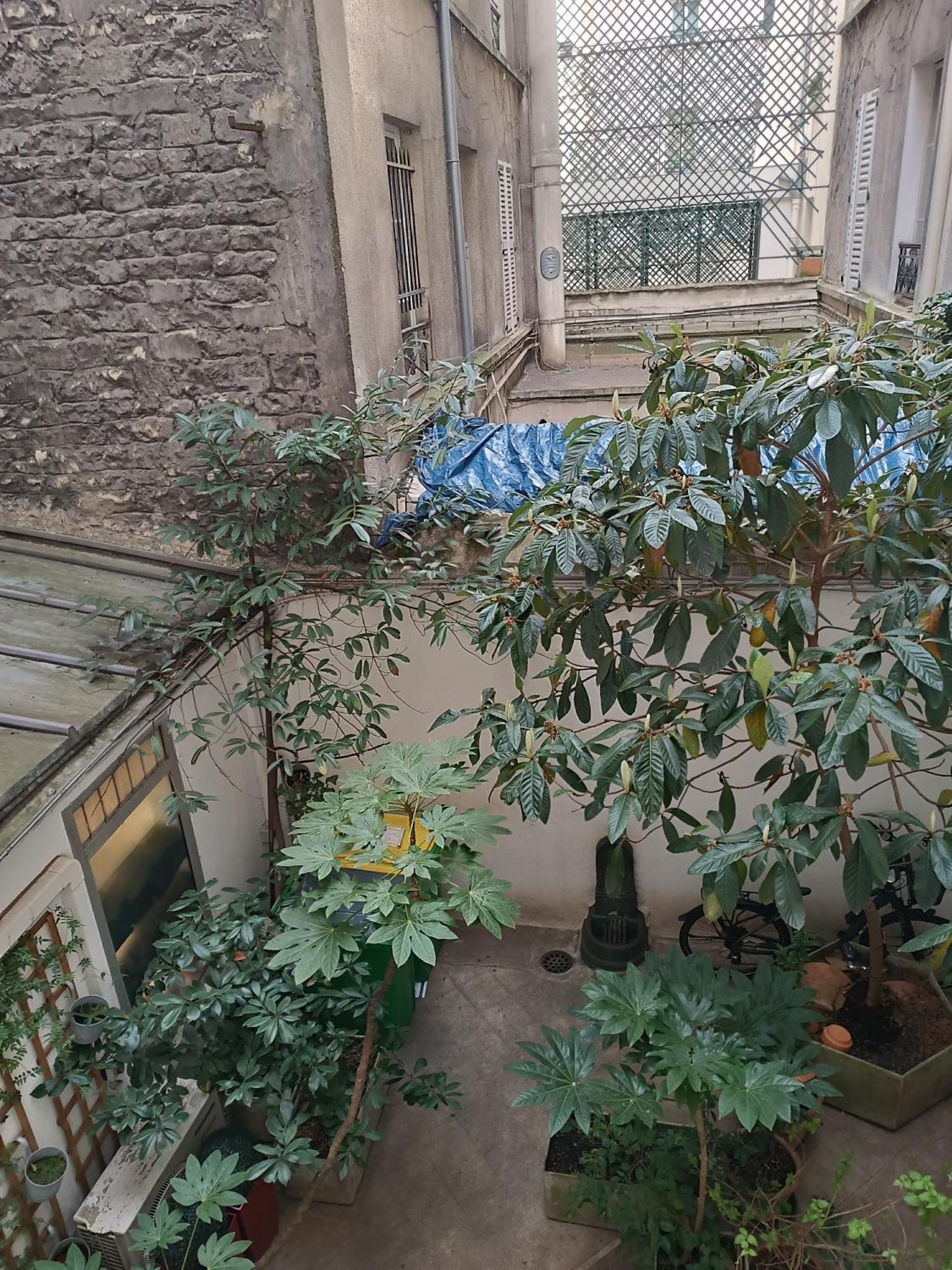 Studio Cosy Paris 6Eme Bon Marche Eksteriør bilde
